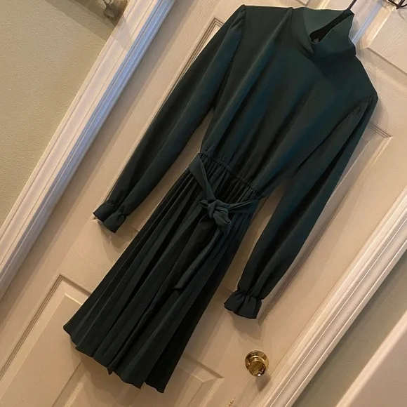 Elegant Green Long Sleeve Pleated Dress - Picture 3 of 12
